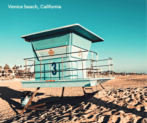 can you swim at Venice Beach California