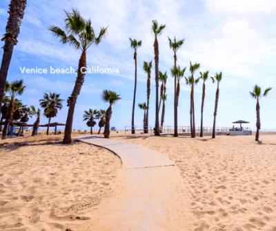 what is Venice beach California known for