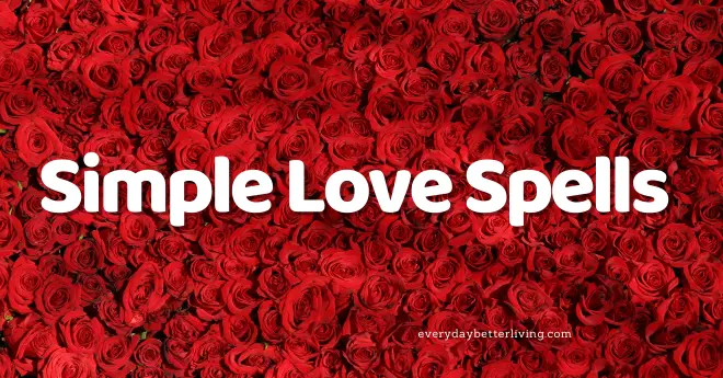 A bed of red roses in intense red with the words 'Simple Love Spells' 